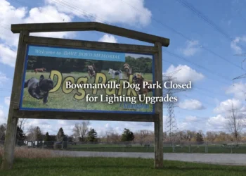 Bowmanville Dog Park to Close for Two Weeks for Lighting Upgrades bowmanville dog park closed for lighting upgrades