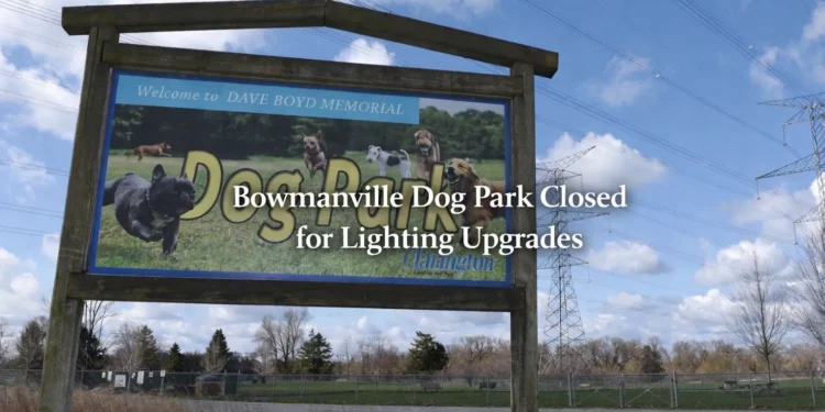 Bowmanville Dog Park to Close for Two Weeks for Lighting Upgrades bowmanville dog park closed for lighting upgrades