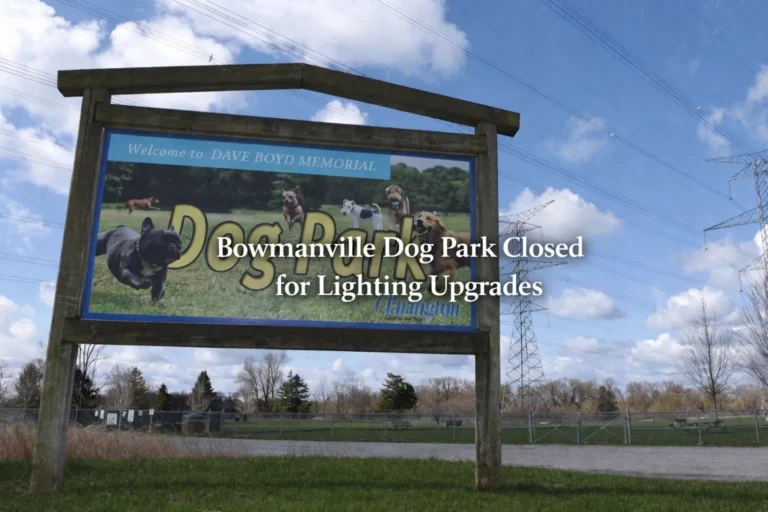 bowmanville dog park closed for lighting upgrades