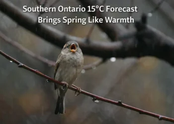 Southern Ontario 15 C Forecast Brings Spring Like Warmth carnival cruise line donates 15 (40)
