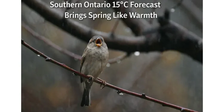 carnival cruise line donates 15 (40)