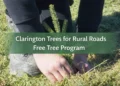 clarington trees for rural roads free tree program