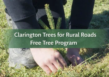 clarington trees for rural roads free tree program