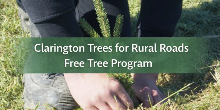 clarington trees for rural roads free tree program