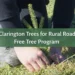 clarington trees for rural roads free tree program