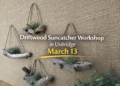 driftwood suncatcher workshop in uxbridge march 13