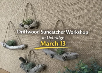 driftwood suncatcher workshop in uxbridge march 13