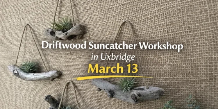 driftwood suncatcher workshop in uxbridge march 13