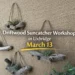 driftwood suncatcher workshop in uxbridge march 13