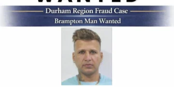 durham region fraud case brampton man wanted