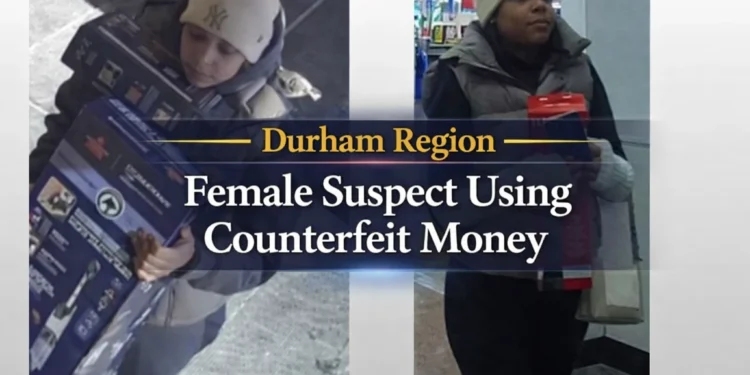 female suspect using counterfeit money durham region
