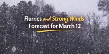 flurries and strong winds forecast for march 12