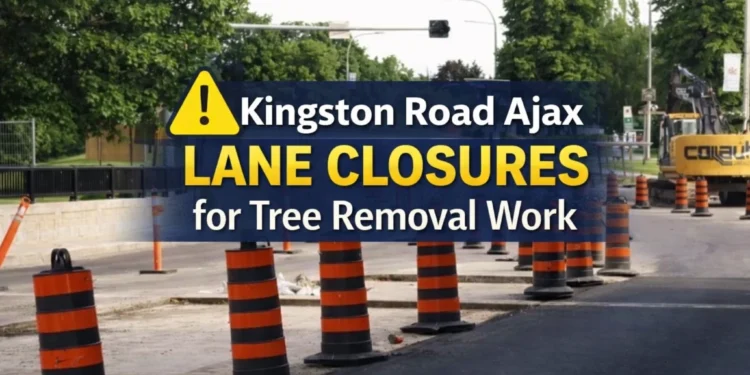 Tree Removal Work to Cause Lane Closures on Kingston Road in Ajax kingston road ajax lane closures for tree removal work