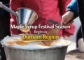 maple syrup festival season begins in durham region