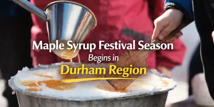 maple syrup festival season begins in durham region