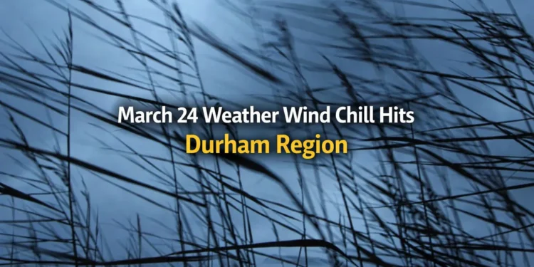March 24 Weather: Wind Chill Feels Like -11°C Across Durham Region march 24 weather wind chill hits durham region