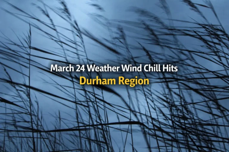march 24 weather wind chill hits durham region