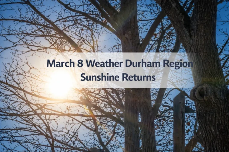 march 8 weather durham region sunshine returns