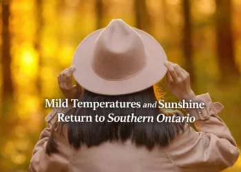 mild temperatures and sunshine return to southern ontario