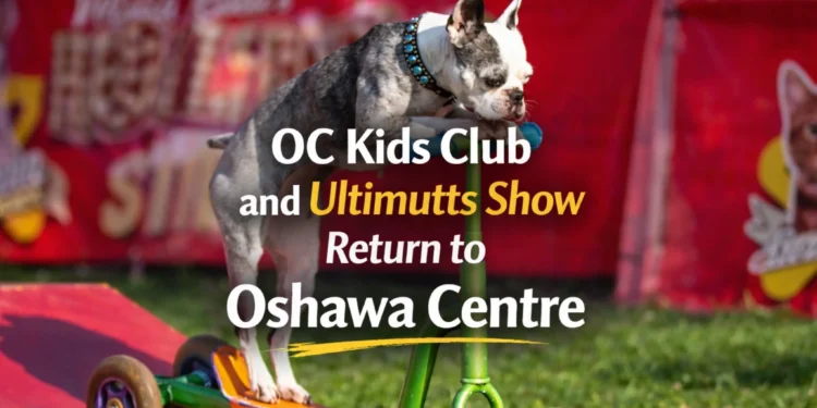 oc kids club and ultimutts animal actors show return to oshawa centre for march break