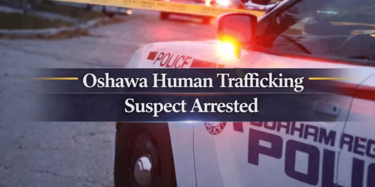 oshawa human trafficking suspect arrested