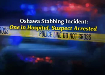 oshawa stabbing incident one in hospital, suspect arrested