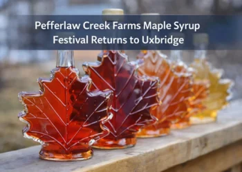 pefferlaw creek farms maple syrup festival returns to uxbridge