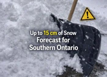 up to 15 cm of snow forecast for southern ontario
