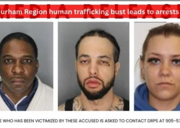 Durham Region human trafficking bust leads to arrests image 2026 03 27t233819.675