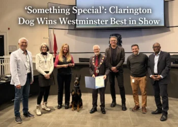 ‘something special’ clarington dog wins westminster best in show