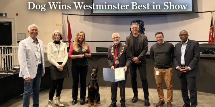 ‘Something Special’: Clarington Dog Wins Westminster Best in Show ‘something special’ clarington dog wins westminster best in show