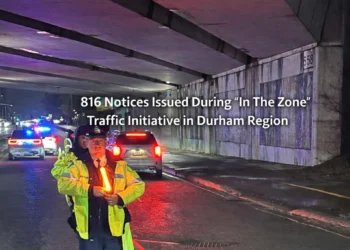 816 notices during in the zone