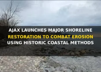 Ajax Launches Major Shoreline Restoration to Combat Erosion Using Historic Coastal Methods ajax launches major shoreline restoration