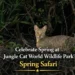 celebrate spring at jungle cat world wildlife park's spring safari