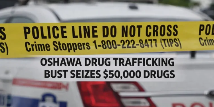 oshawa drug trafficking bust seizes $50000 drugs