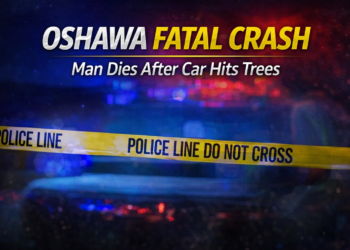 oshawa fatal crash man dies after car hits trees