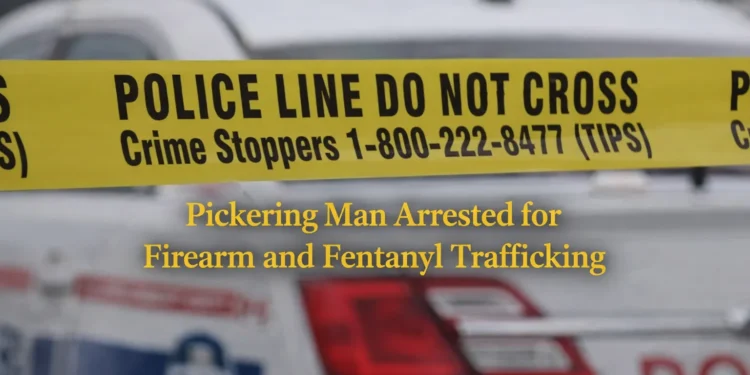 Pickering Man Arrested for Firearm and Fentanyl Charges at McDonald’s pickering man arrested for firearm and fentanyl trafficking