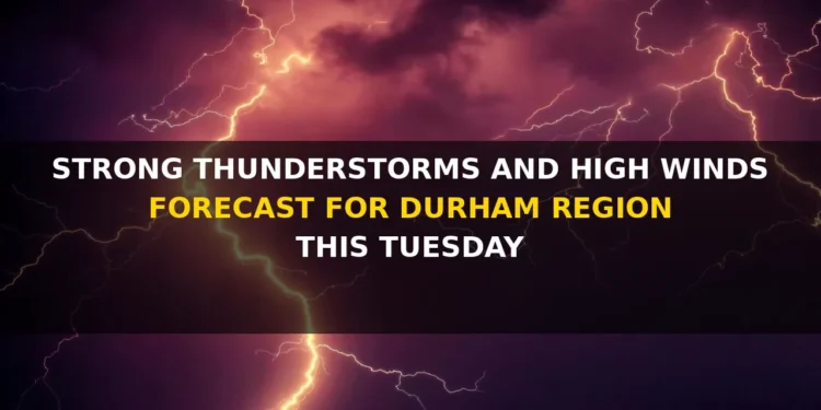 strong thunderstorms and high winds forecast