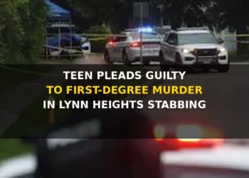 teen pleads guilty to first degree murder