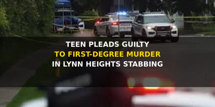 teen pleads guilty to first degree murder