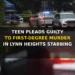 teen pleads guilty to first degree murder