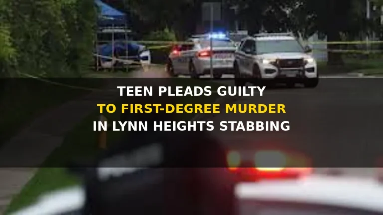 teen pleads guilty to first degree murder