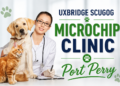 uxbridge scugog microchip clinic port perry