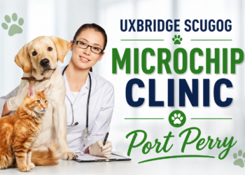 uxbridge scugog microchip clinic port perry
