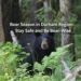 bear season durham region