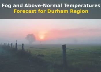 durham fog forecast