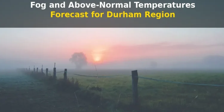 durham fog forecast