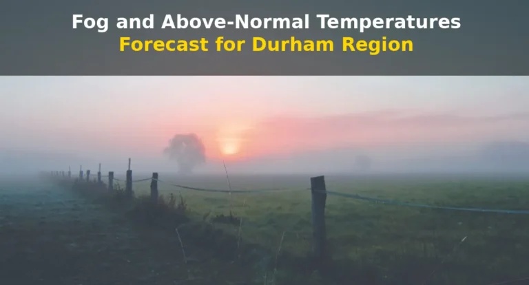 durham fog forecast