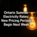 electricity rates