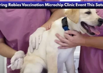Pickering Rabies Vaccination Microchip Clinic Event This Saturday image 2026 04 15t223909.712
